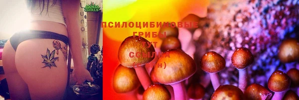 каннабис Алексеевка