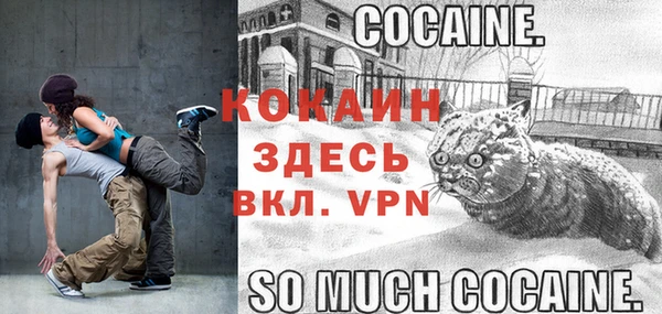 молекула духа Абинск