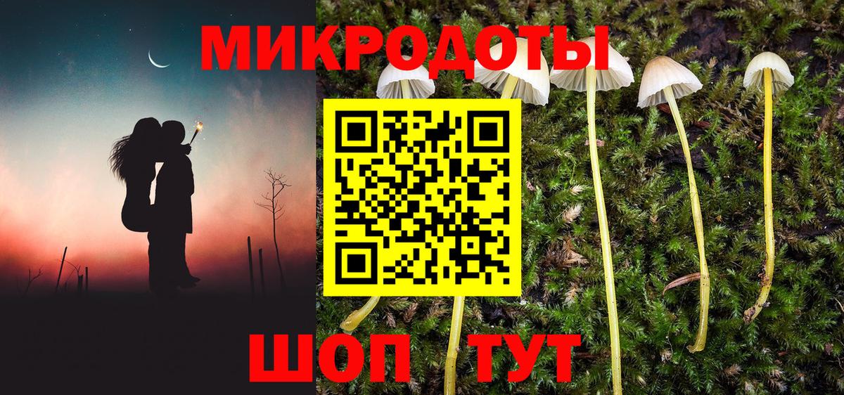 Псилоцибиновые грибы Psilocybe Красноармейск