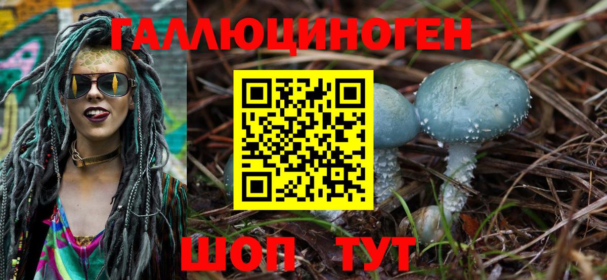 Красноармейск  Галлюциногенные грибы Psilocybe  Вход с VPN 