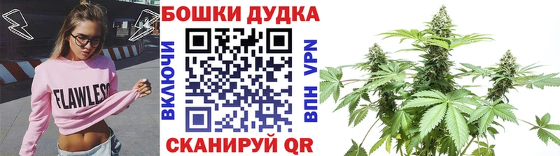 Конопля ГИДРОПОН  как найти закладки  Красноармейск 